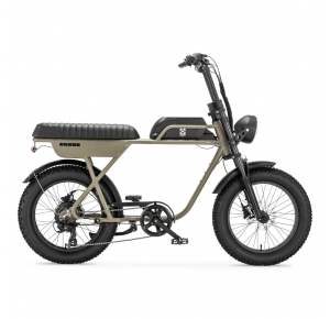 AGM GT250 Fatbike