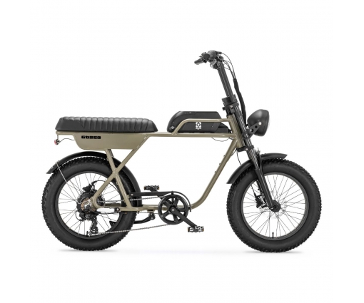 AGM GT250 Fatbike