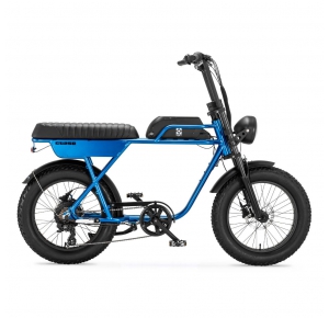 AGM Fatbike GT250 blauw
