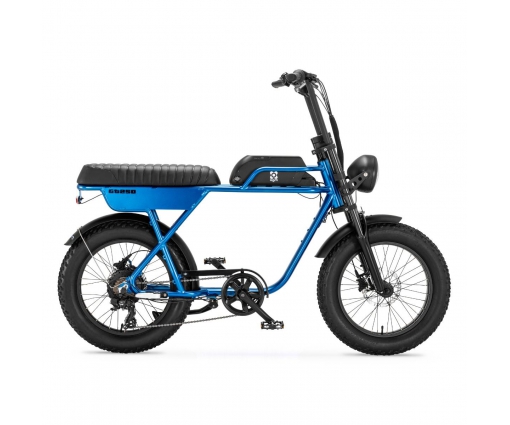 AGM Fatbike GT250 blauw