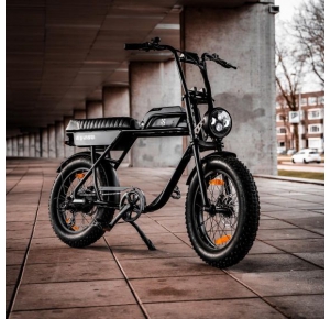 AGM Fatbike GT250