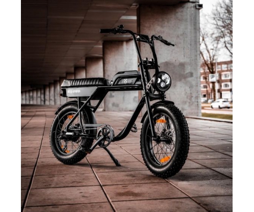 AGM Fatbike GT250