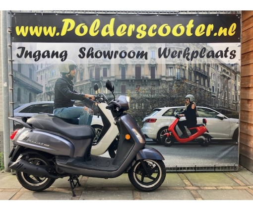Sym fiddle 2 Oak Grey